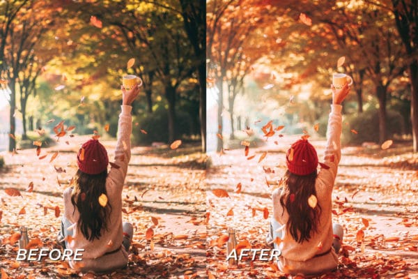 5 Autumn Lightroom Presets | Mobile + Desktop - Image 7