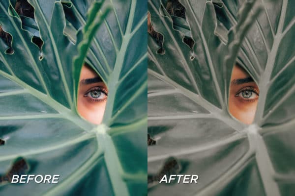 5 Avocado Lightroom Presets | Mobile + Desktop - Image 4