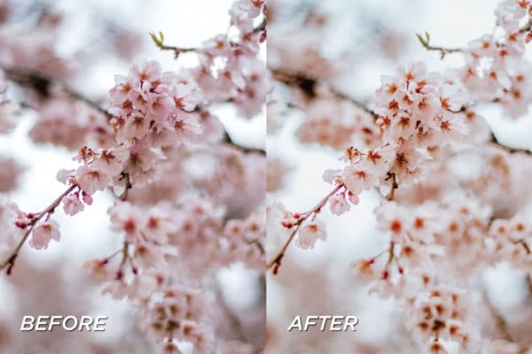 5 Baby Love Lightroom Presets | Mobile + Desktop - Image 5