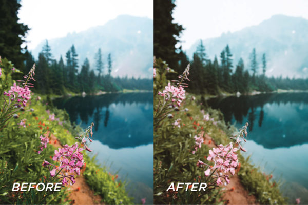 5 Forest Lightroom Presets | Mobile + Desktop - Image 6