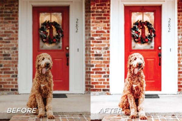 5 Holiday Lightroom Presets | Mobile + Desktop - Image 6
