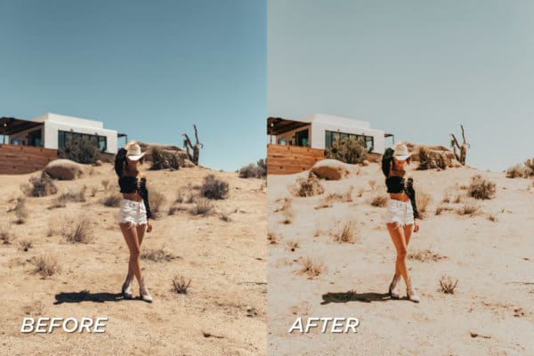 5 Joshua Tree Lightroom Presets | Mobile + Desktop - Image 5