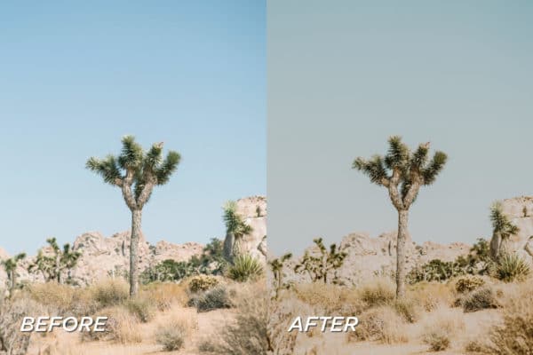5 Joshua Tree Lightroom Presets | Mobile + Desktop - Image 6