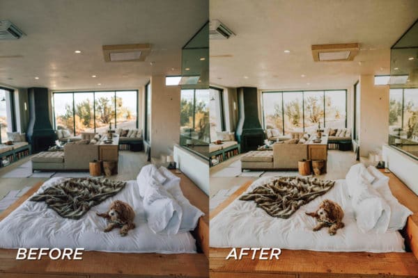5 Joshua Tree Lightroom Presets | Mobile + Desktop - Image 9