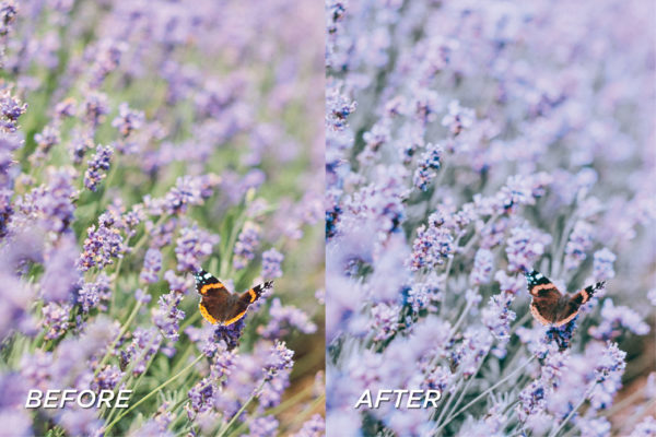 5 Lavender Lightroom Presets | Mobile + Desktop - Image 7