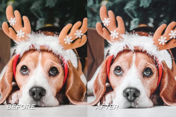 5 Mistletoe Lightroom Presets | Mobile + Desktop - Image 6