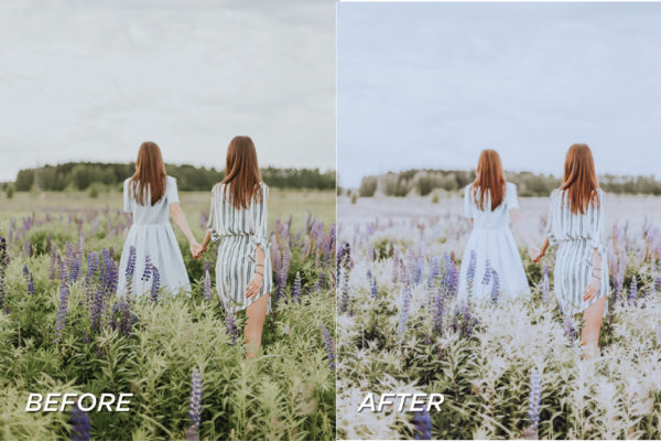 5 New Zealand Lightroom Presets | Mobile + Desktop - Image 9