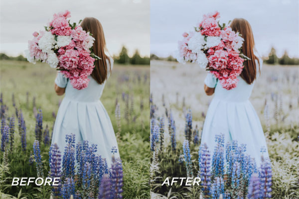 5 New Zealand Lightroom Presets | Mobile + Desktop - Image 5