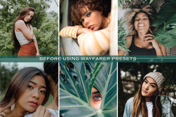 5 Olive Lightroom Presets | Mobile + Desktop - Image 3