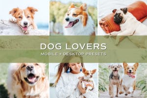 5 Dog Lovers Lightroom Presets | Mobile + Desktop