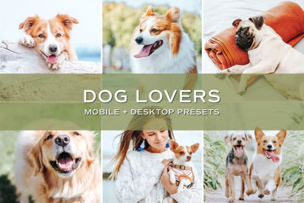 5 Dog Lovers Lightroom Presets | Mobile + Desktop