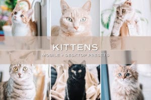 5 Kitten Lightroom Presets | Mobile + Desktop