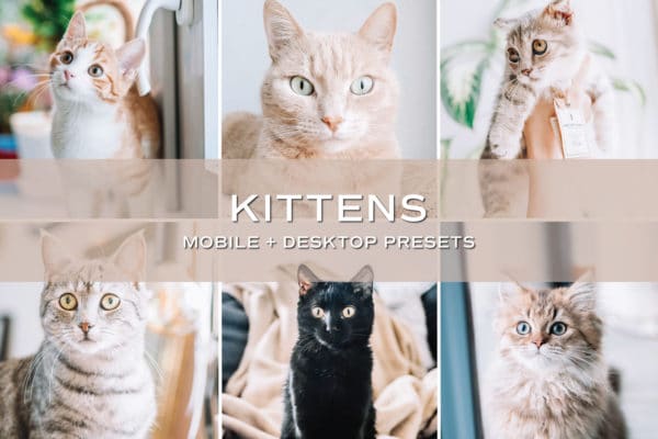 5 Kitten Lightroom Presets | Mobile + Desktop