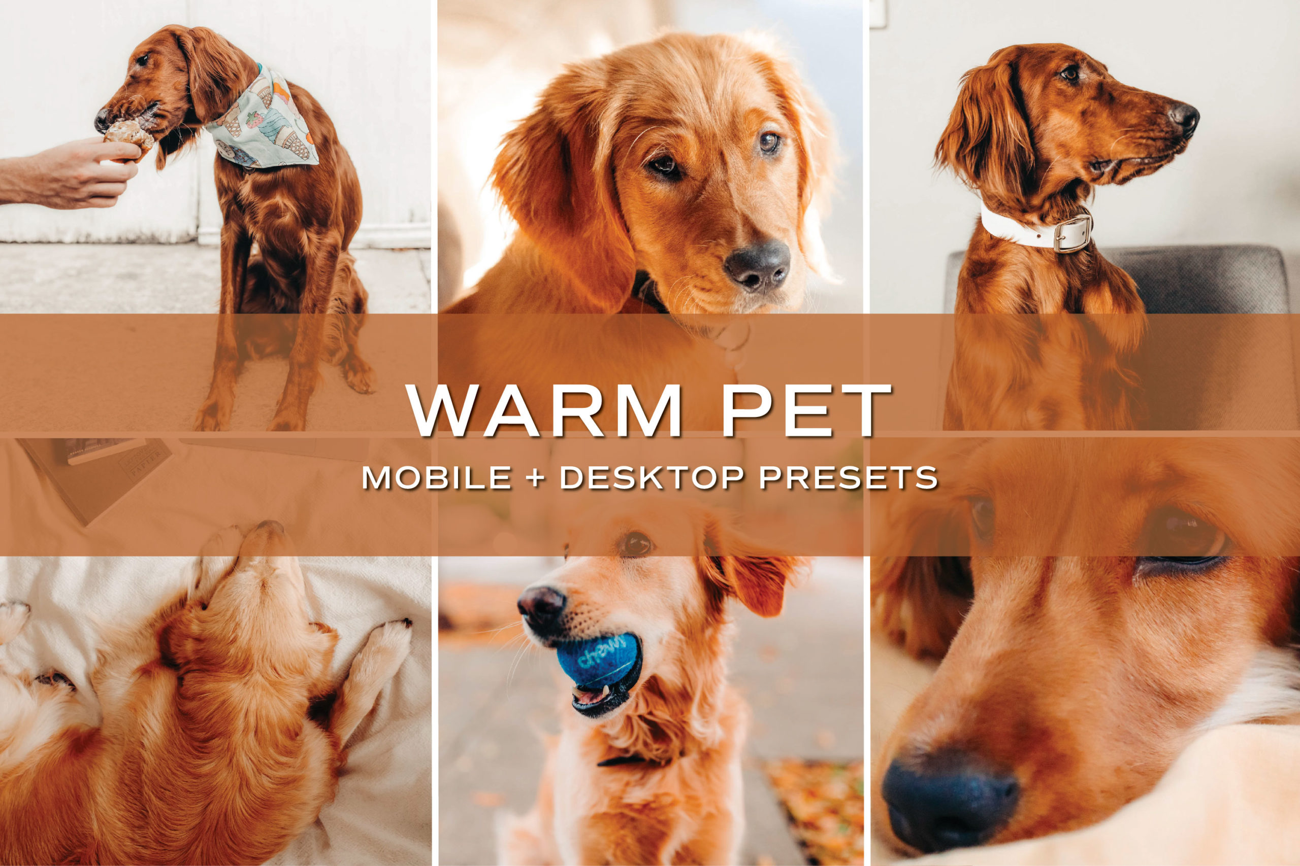 5 Warm Pet Lightroom Presets | Mobile + Desktop