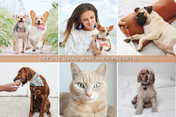 5 Pet Lovers Lightroom Presets | Mobile + Desktop - Image 3