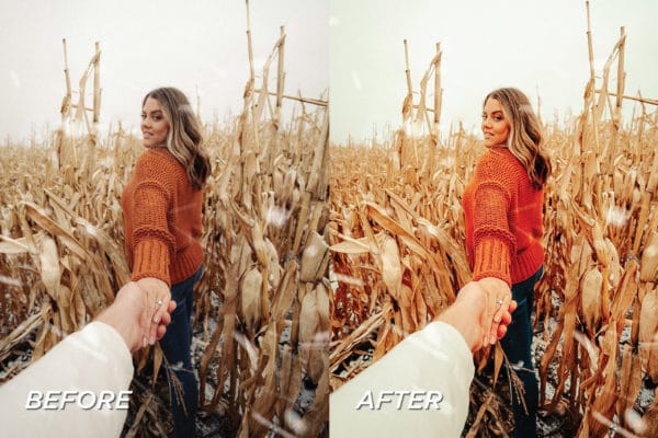 5 Pumpkin Patch Lightroom Presets | Mobile + Desktop - Image 6
