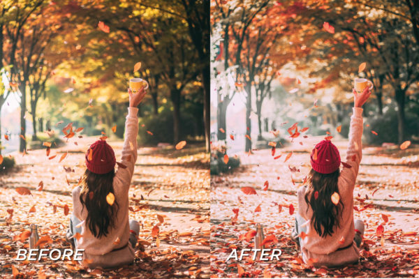5 Pumpkin Spice Lightroom Presets | Mobile + Desktop - Image 8