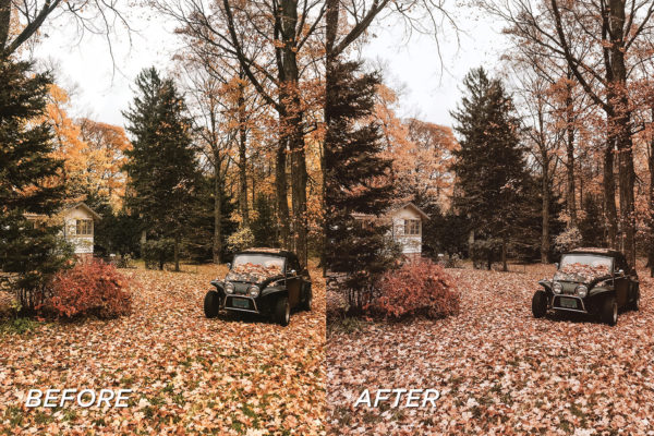 5 Rustic Lightroom Presets | Mobile + Desktop - Image 8