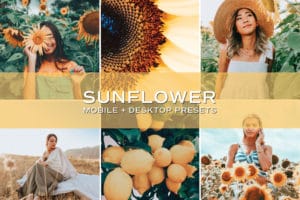 5 Sunflower Lightroom Presets | Mobile + Desktop