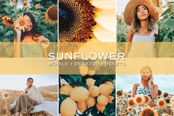 5 Sunflower Lightroom Presets | Mobile + Desktop