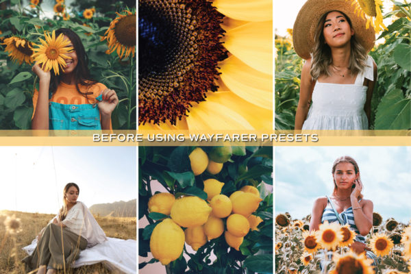 5 Sunflower Lightroom Presets | Mobile + Desktop - Image 3