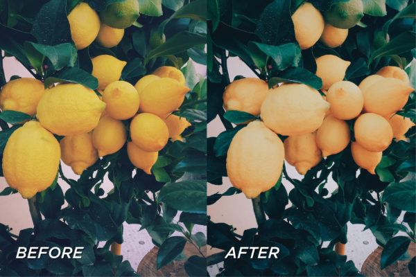 5 Sunflower Lightroom Presets | Mobile + Desktop - Image 9