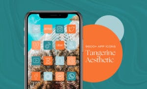 9500+ Tangerine iOS App Icons