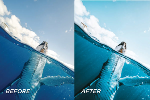 5 Underwater Lightroom Presets | Mobile + Desktop - Image 5
