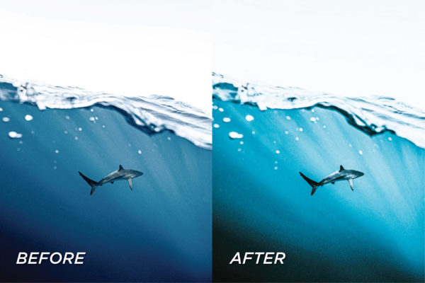 5 Underwater Lightroom Presets | Mobile + Desktop - Image 7