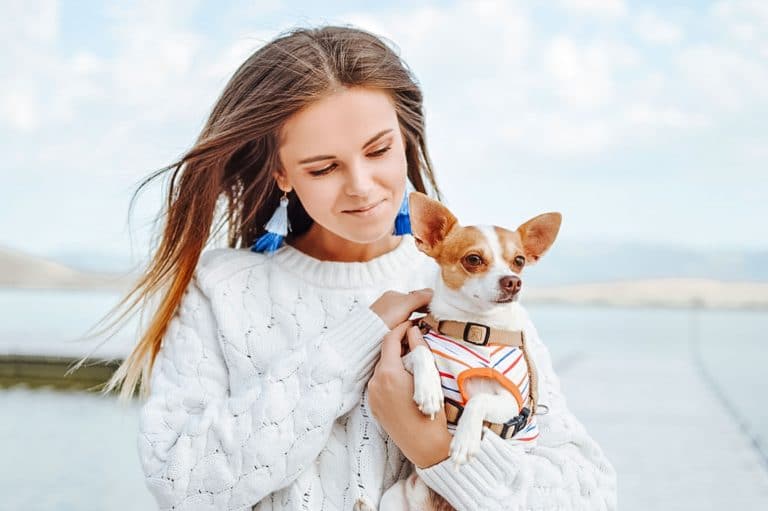 Stunning Pet Pic Edits