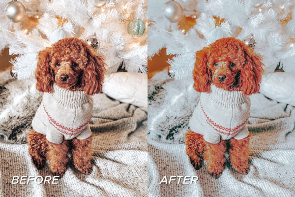 5 Deck The Halls Lightroom Presets | Mobile + Desktop - Image 6