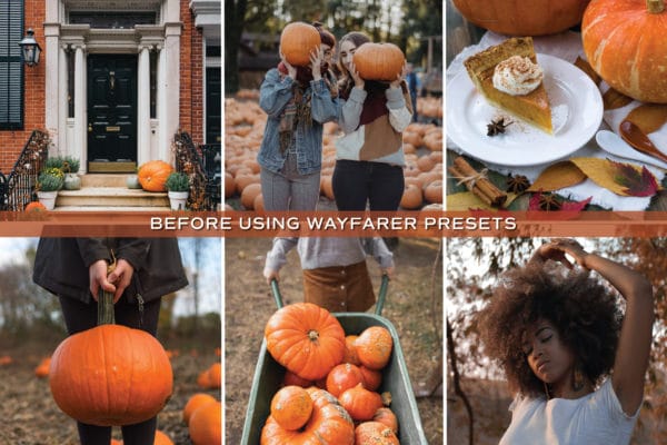 5 Harvest Lightroom Presets | Mobile + Desktop - Image 3