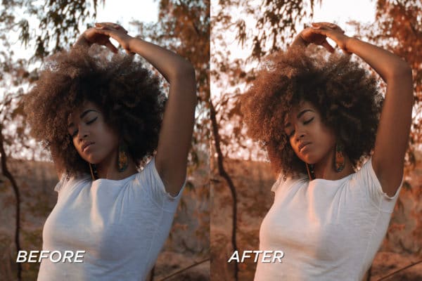 5 Harvest Lightroom Presets | Mobile + Desktop - Image 6