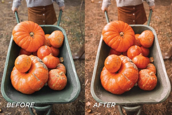 5 Harvest Lightroom Presets | Mobile + Desktop - Image 7