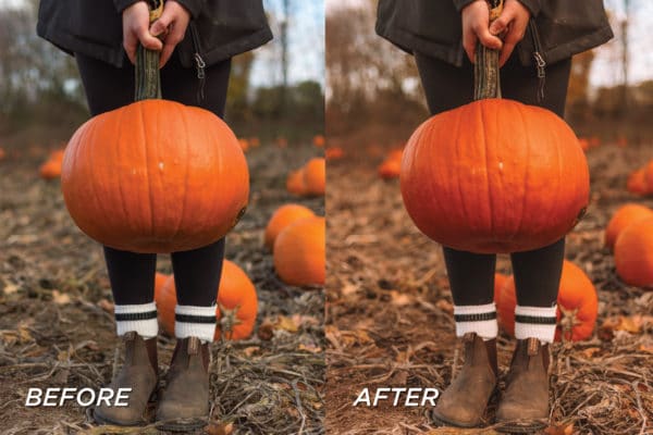 5 Harvest Lightroom Presets | Mobile + Desktop - Image 8