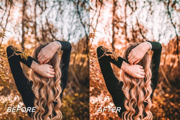 5 Pumpkin Pie Lightroom Presets | Mobile + Desktop - Image 5