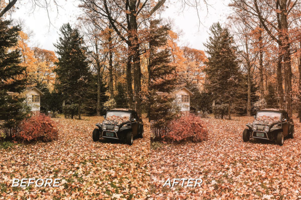 5 Pumpkin Pie Lightroom Presets | Mobile + Desktop - Image 7