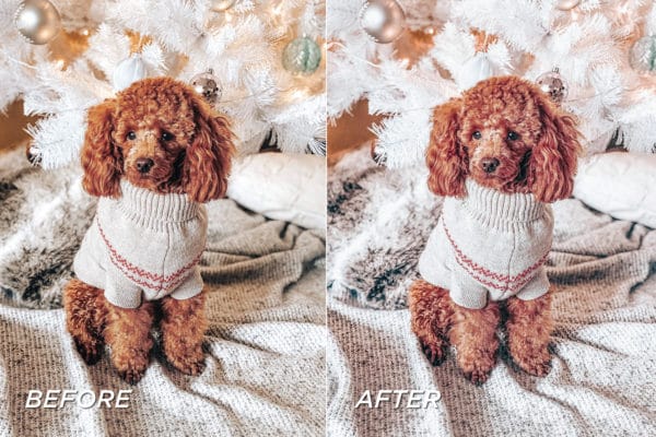 5 Wonderland Lightroom Presets | Mobile + Desktop - Image 7