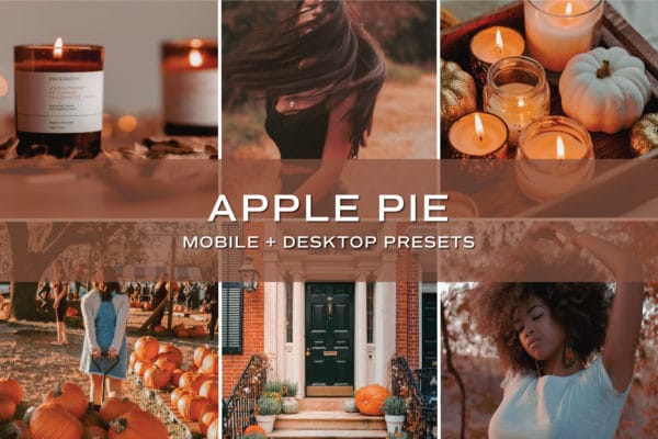 100 Lightroom Presets - Fall + Winter Bundle | Mobile + Desktop (20 Collections) - Image 4