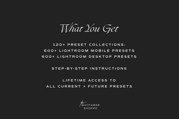 600+ Lightroom Presets - The Shop Bundle | Mobile + Desktop (120+ Collections) - Image 3