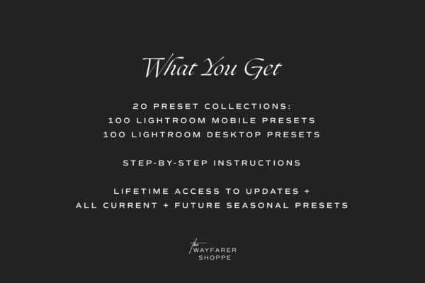 100 Lightroom Presets - Fall + Winter Bundle | Mobile + Desktop (20 Collections) - Image 3