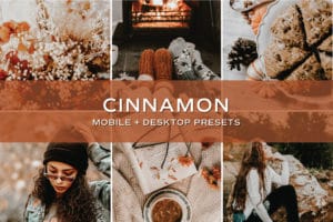 5 Cinnamon Lightroom Presets | Mobile + Desktop