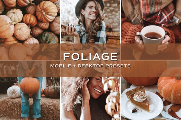 100 Lightroom Presets - Fall + Winter Bundle | Mobile + Desktop (20 Collections) - Image 11