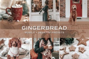 5 Gingerbread Lightroom Presets | Mobile + Desktop