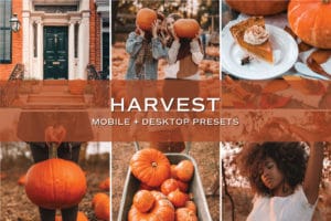 5 Harvest Lightroom Presets | Mobile + Desktop