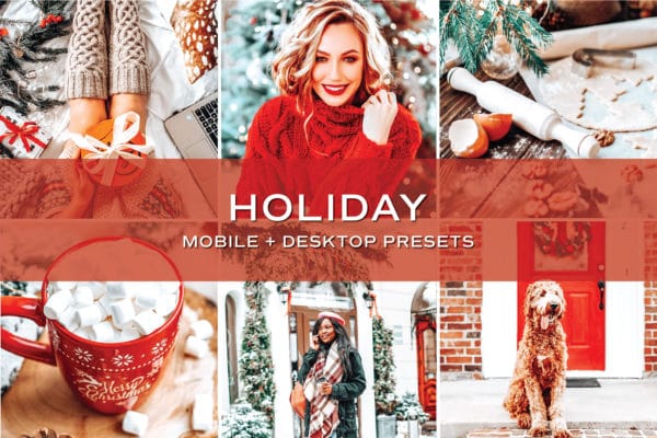 100 Lightroom Presets - Fall + Winter Bundle | Mobile + Desktop (20 Collections) - Image 14