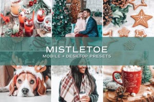 5 Mistletoe Lightroom Presets | Mobile + Desktop