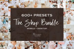 600+ Lightroom Presets - The Shop Bundle | Mobile + Desktop (120+ Collections)