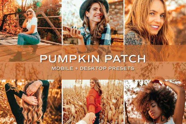 100 Lightroom Presets - Fall + Winter Bundle | Mobile + Desktop (20 Collections) - Image 17