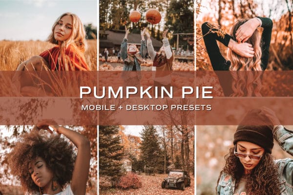 100 Lightroom Presets - Fall + Winter Bundle | Mobile + Desktop (20 Collections) - Image 18